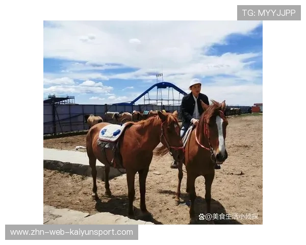 草原骑马体验营，感受民族传统运动魅力，草原骑马怎么收费